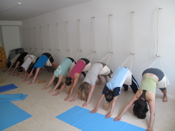 YogaNow – Iyengar Yoga